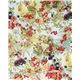 Michael Miller fabric Autumn Fairies berry fairy 2