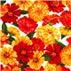 Robert Kaufman fabric with red and yellow flowers 1