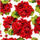 Robert Kaufman fabric with red flowers from the USA 1