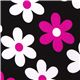 black Michael Miller fabric rosa-white flowers 1