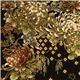 schwarzer Robert Kaufman Stoff mit Asia Blumen & Bord�re 2