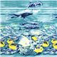 blauer Michael Miller Stoff mit Wal Delfin Fisch Ozean 1