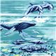 blauer Michael Miller Stoff mit Wal Delfin Fisch Ozean 2