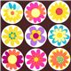 brown Michael Miller fabric big daisies 1