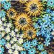 cute florets Robert Kaufman fabric USA designer 1