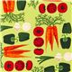 green vegetable fabric by Robert Kaufman from the USA 2