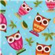 light blue fabric cute owls Robert Kaufman On a Whim 1