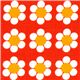 orange Robert Kaufman fabric with white flowers 1