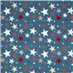teal Riley Blake fabric with stars from the USA 2