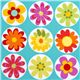 turquoise Michael Miller fabric big daisies 1