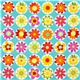 turquoise Michael Miller fabric big daisies 2