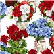 white Robert Kaufman fabric bouquet of flowers in vase 1