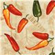 yellow capsicum annuum fabric de Robert Kaufman 1