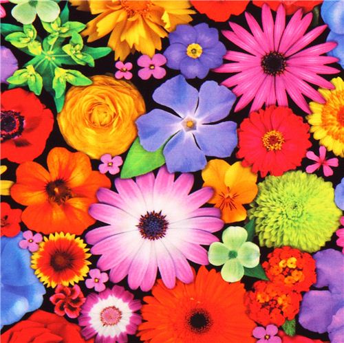 Tissu popeline Robert Kaufman Bloominescent fleurs colores