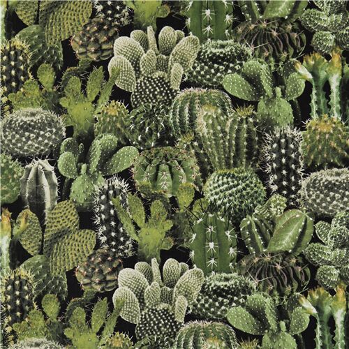 Tissu Timeless Treasures plantes vertes cacatus nature désert Tissu