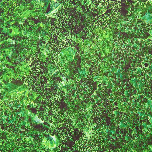 Tissu en coton thème des légumes verts, avec du chou frisé Tissu