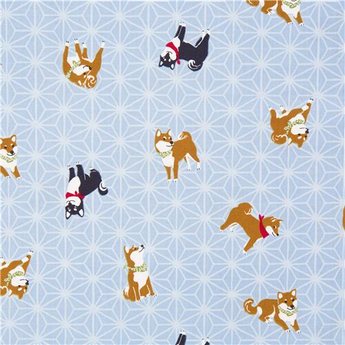 tessuto celeste oxford motivo geometrico asanoha cani shiba inu Tessuto