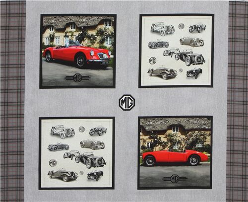 MG tela con panel de coches antiguos Tela