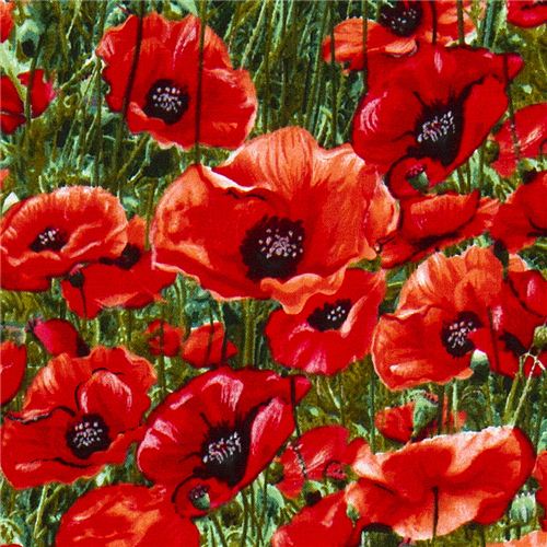 Michael Miller fabric red corn poppy meadow flower 1