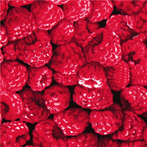 Raspberry fabric by Timeless Treasures from the USA 1