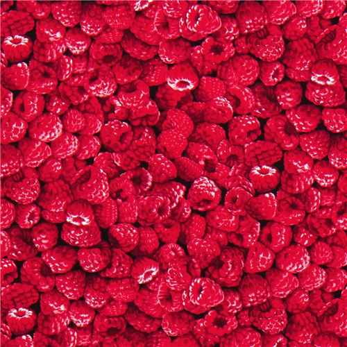 Raspberry fabric by Timeless Treasures from the USA 2