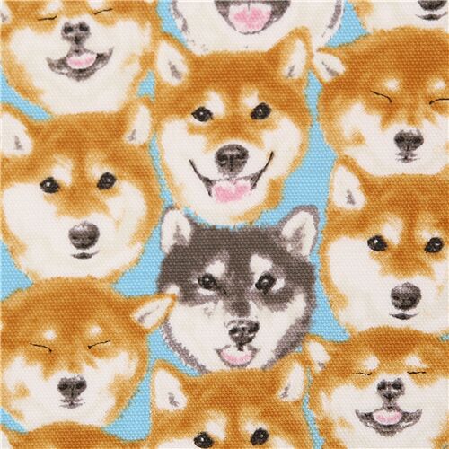 tessuto blu facce cani Shiba inu marroni cotone oxford Tessuto