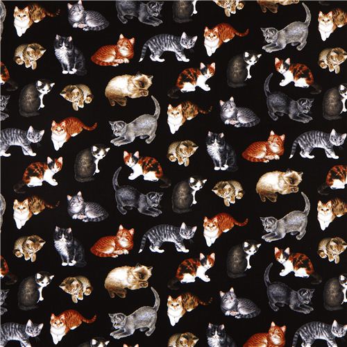 black Timeless Treasures fabric cat USA 2