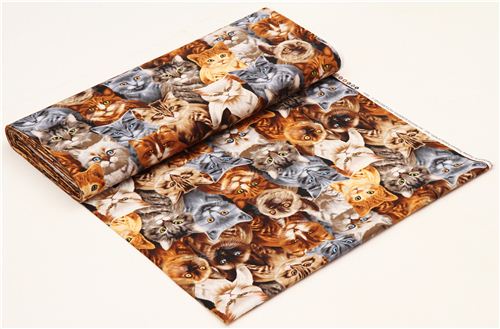 Tessuto nero con gatti di Timeless Treasures 3