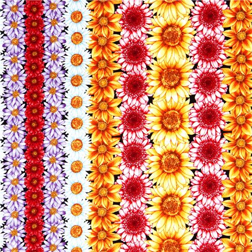 schwarzer Blumen Stoff mit Blumenreihen Robert Kaufman Stoff