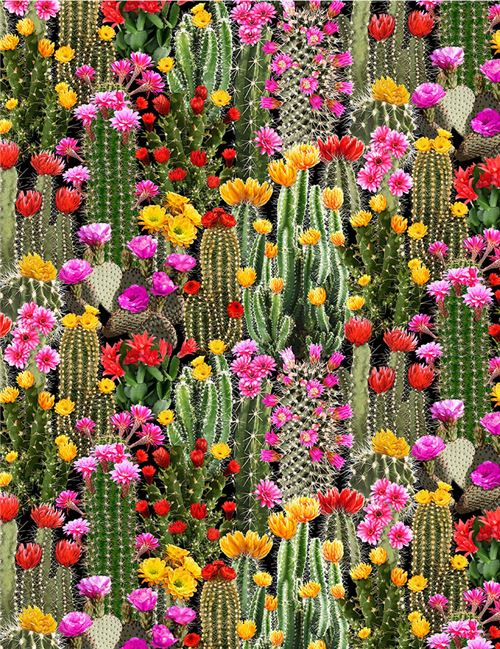 Remnant (35 x 112 cm) - black with green cactus and flower fabric Timeless Treasures 2