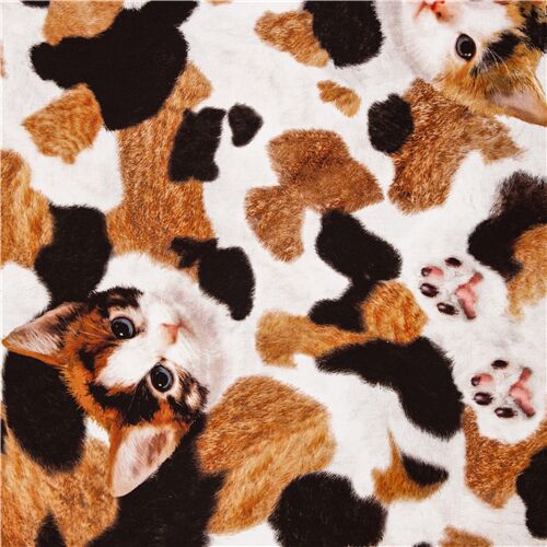 tessuto gatti dal Giappone cotone per lenzuola pelliccia bianca marrone Tessuto