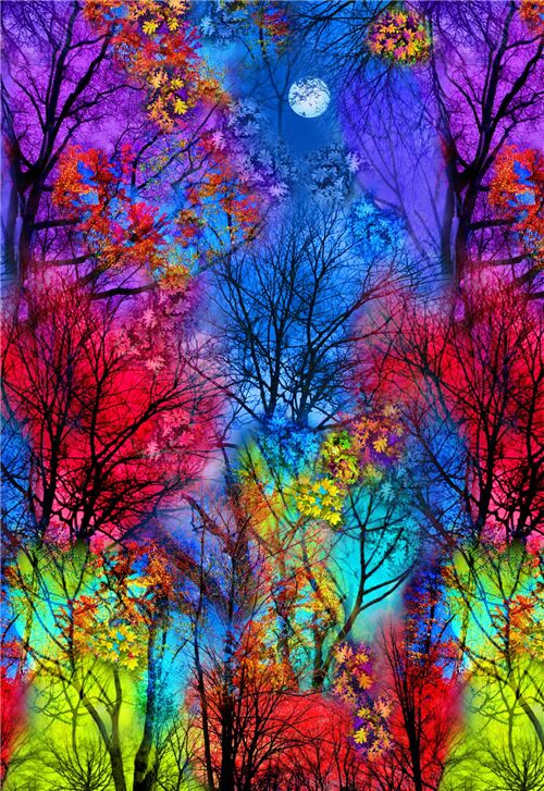 Bunter Waldgroßmotivstoff von Timeless Treasures Stoff