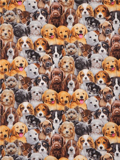 Chutes de tissu de (32 x 110 cm) - Joli tissu avec des chiens marron et gris, Adorable Pets par Eliz 2