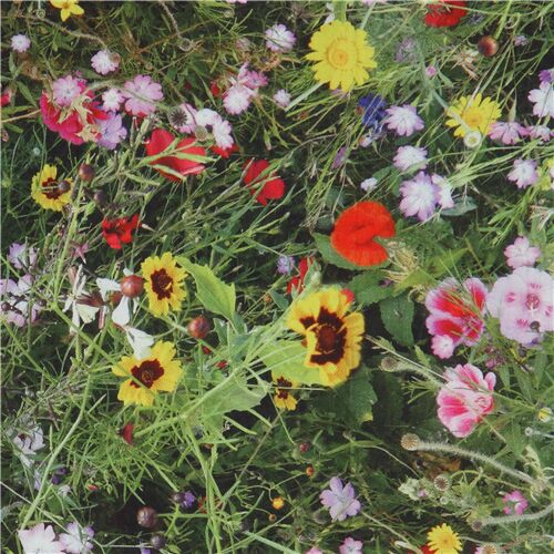 Tissu aspect lin avec une prairie d'herbe verte et de fleurs Tissu