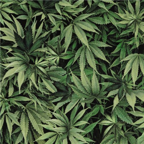 Tissu minky ultralarge feuilles de vertes Tissu