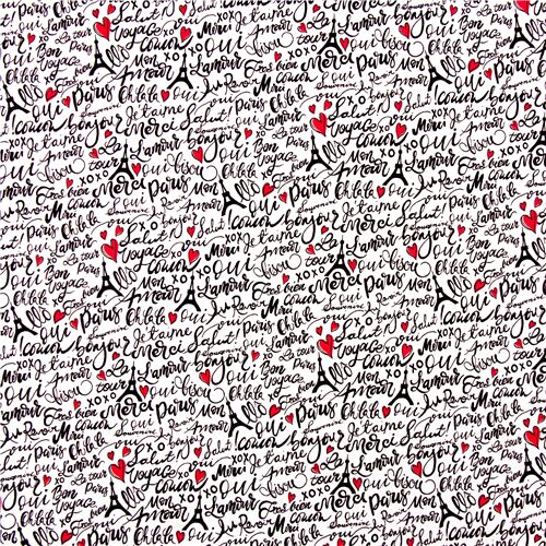 Rimanenza di (44 x 112 cm) - tessuto bianco scritte francesi Parigi Timeless Treasures 2