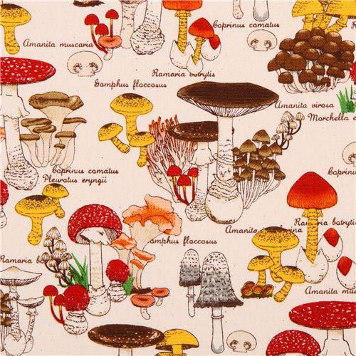 tessuto neutro tipi di funghi oxford Cosmo dal Giappone  Tessuto