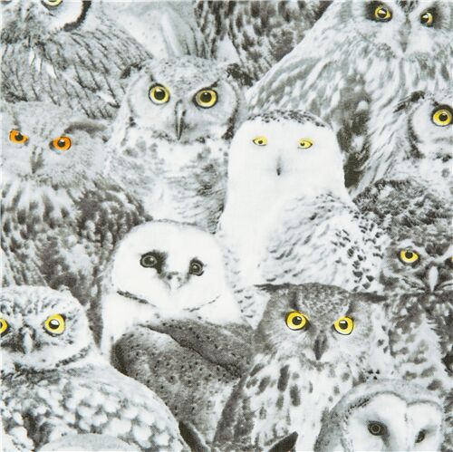 Grey Realistic Owls Yellow Eyes Fabric