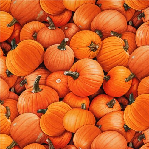 Remnant (45 x 110 cm) - packed orange pumpkin fabric by Elizabeths Studio