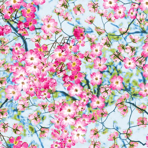 tessuto fiorellini rosa Timeless Treasures Tessuto